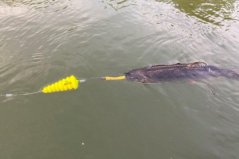 Sumcový podvodný plavák U-Float Tree žltý