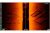 ActiveImaging™ HD 3-in-1 (HW) sonda - SideScan Fish Reveal