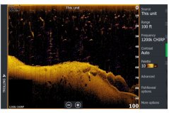 ActiveImaging™ HD 3-in-1 sonda