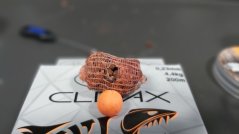 Silon Climax U-Light XR Mono transparent 200m