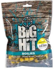 Boilies Crafty Catcher Big Hit 10mm / 250g