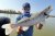 Sonar Lowrance Elite FS™ 7 so sondou HDI