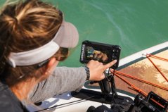 Sonar EAGLE 5 SPLITSHOT