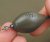 TANDEM BAITS FC Carp swivels / obratlík - 10ks