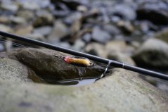 Plandavka Magic Trout Bloody Shoot Spoon 3g / 3,5cm