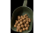 BOILIES JÁTRA - CHILLI 20mm