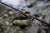 Plandavka Magic Trout Bloody Shoot Spoon 3g / 3,5cm