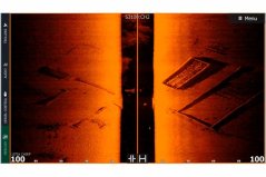 ActiveImaging™ HD 3-in-1 (HW) sonda - SideScan Fish Reveal