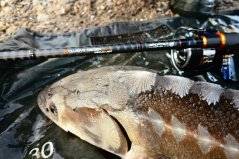 Feeder prúty Xclusive Feeder RS-2 Medium Light 3-diel