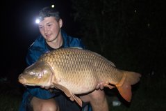 Carp Food Tandem Baits Boilies 18mm/1kg