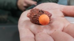 Boilies pop up Crafty Catcher Retro Range 15mm / 60g